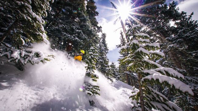 Diving headfirst into the Colorado pow &copy; Martin Orton.jpg
