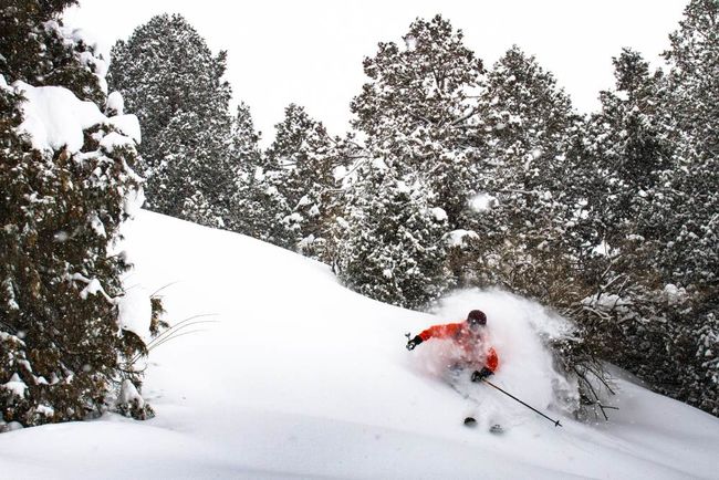 Powder, Uzbekistan &copy;Tristan Kennedy.jpg